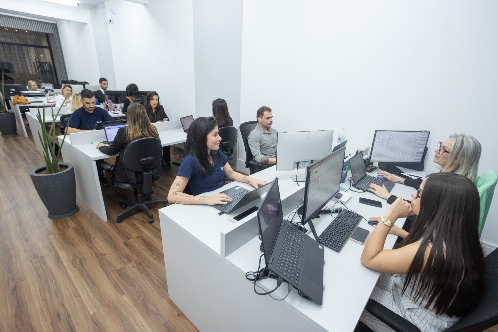 Equipe da Judman trabalhando no escritório em São Paulo